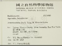 登錄號:F0034910藏品圖，第2張