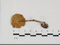 登錄號:F0034910藏品圖，第3張
