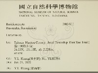 乳菇屬藏品圖，第2張