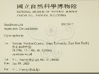 登錄號:F0034912藏品圖，第2張