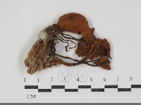 登錄號:F0034912藏品圖，第1張