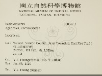 登錄號:F0034913藏品圖，第2張