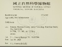 登錄號:F0034915藏品圖，第2張