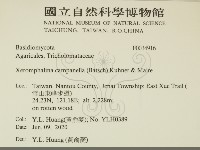 登錄號:F0034916藏品圖，第2張