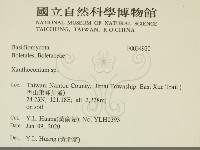 登錄號:F0034920藏品圖，第2張