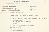 登錄號:F0034924藏品圖，第3張