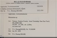 登錄號:F0034926藏品圖，第3張