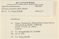 館號:F0034927藏品圖，第4張