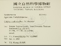 登錄號:F0034931藏品圖，第2張