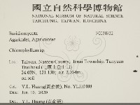 登錄號:F0034932藏品圖，第2張