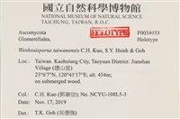 登錄號:F0034933藏品圖，第4張