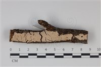 登錄號:F0034935藏品圖，第1張