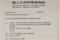 登錄號:F0034937藏品圖，第2張