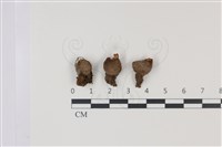 登錄號:F0034937藏品圖，第1張