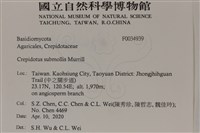 登錄號:F0034939藏品圖，第2張