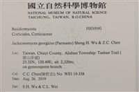 登錄號:F0034940藏品圖，第2張