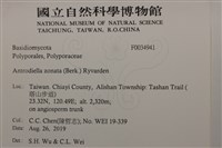 登錄號:F0034941藏品圖，第2張