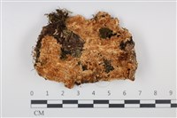 登錄號:F0034941藏品圖，第1張