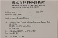 登錄號:F0034943藏品圖，第2張