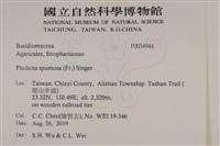 登錄號:F0034944藏品圖，第2張