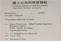 登錄號:F0034945藏品圖，第2張
