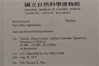 登錄號:F0034946藏品圖，第2張