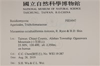 登錄號:F0034947藏品圖，第2張