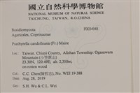 登錄號:F0034948藏品圖，第2張