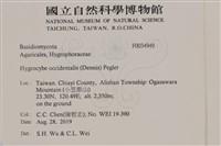 登錄號:F0034949藏品圖，第2張