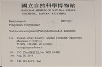 登錄號:F0034950藏品圖，第2張