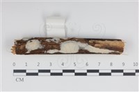 登錄號:F0034951藏品圖，第1張