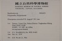 登錄號:F0034953藏品圖，第2張