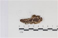 登錄號:F0034953藏品圖，第1張