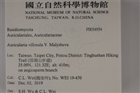 登錄號:F0034954藏品圖，第2張