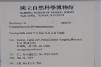 登錄號:F0034956藏品圖，第2張