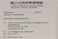 登錄號:F0034957藏品圖，第2張