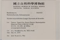 登錄號:F0034958藏品圖，第2張