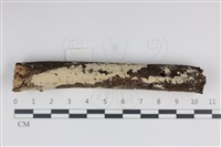 登錄號:F0034958藏品圖，第1張