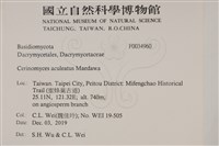 登錄號:F0034960藏品圖，第2張