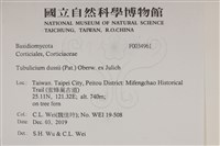登錄號:F0034961藏品圖，第2張