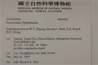 館號:F0034962藏品圖，第2張