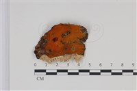 館號:F0034962藏品圖，第1張