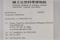 登錄號:F0034963藏品圖，第2張