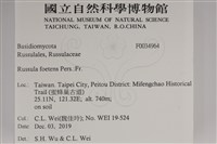 登錄號:F0034964藏品圖，第2張
