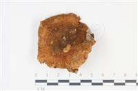 登錄號:F0034964藏品圖，第1張
