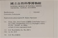 登錄號:F0034965藏品圖，第2張