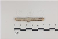 登錄號:F0034966藏品圖，第1張