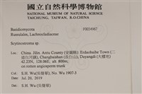 登錄號:F0034967藏品圖，第2張