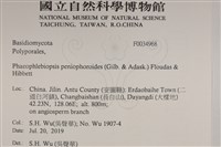 登錄號:F0034968藏品圖，第2張