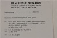館號:F0034969藏品圖，第2張